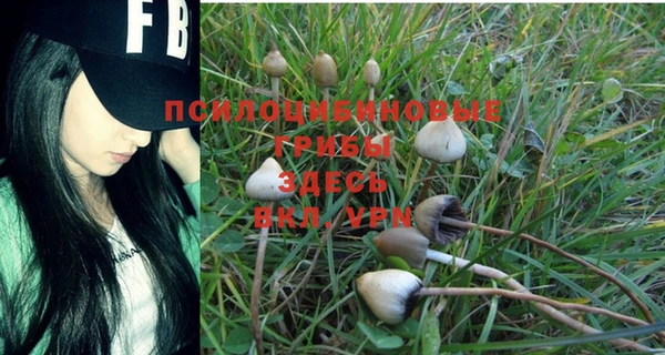 мет Балабаново