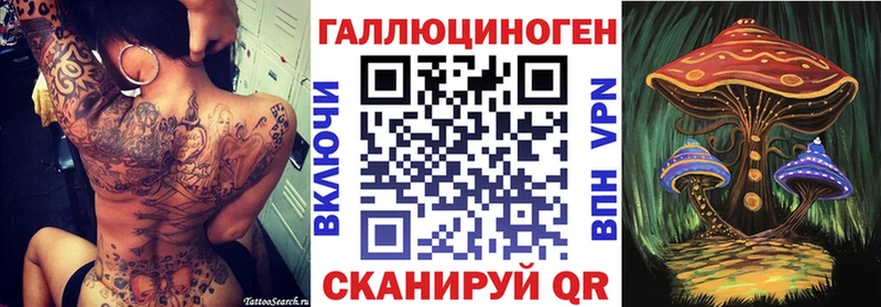 Псилоцибиновые грибы Cubensis  Никольское 